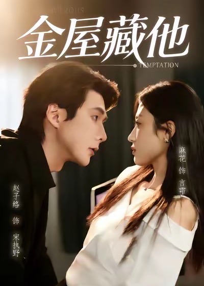 《隐婚老婆是大佬番外》短剧海报