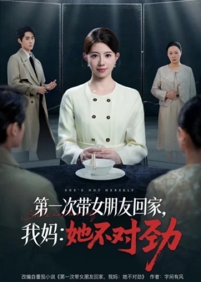 《暗夜审判官之连环迷雾》短剧海报